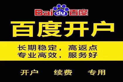 百度竞价排名策略解析及实战案例